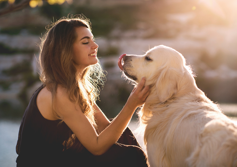 Sunscreen For Dogs – Quick Facts