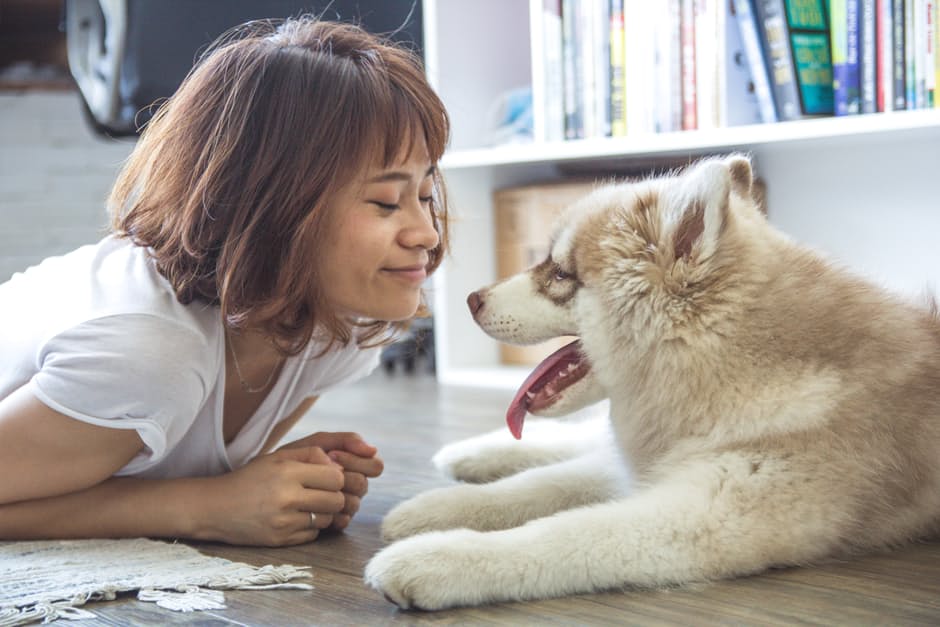 The Dos and Don’ts of Exercising with Your Dog