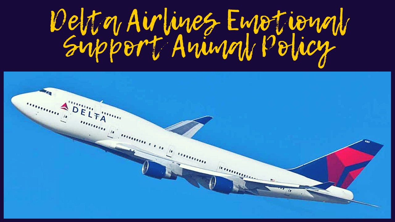 Delta Airlines Emotional Support Animal Policy Delta Airlines Emotional Support Animal Policy