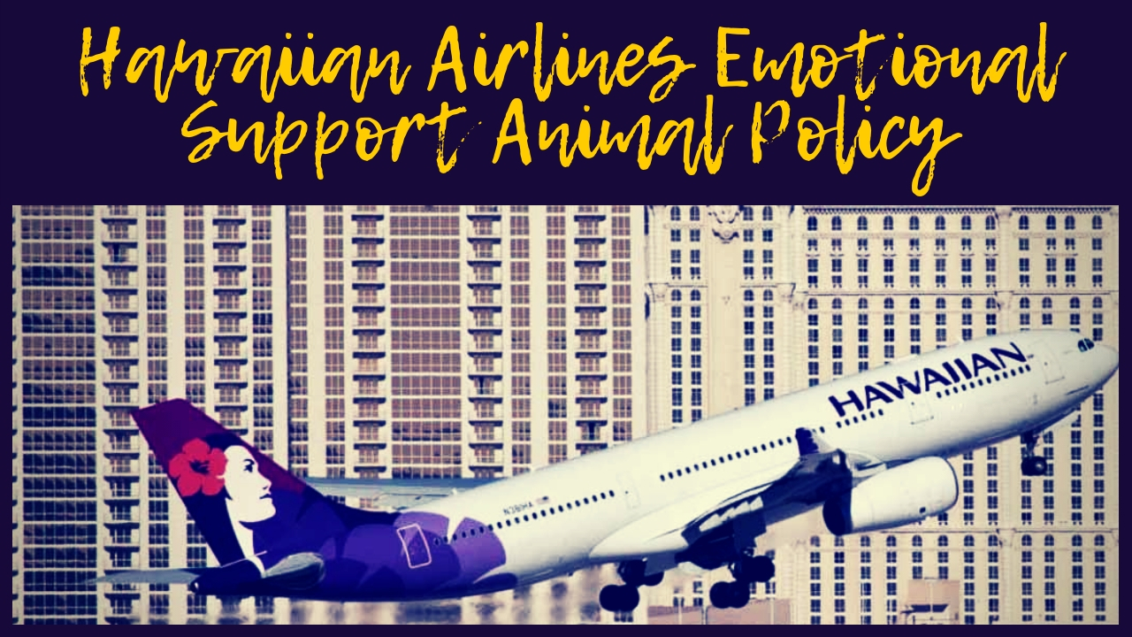 Hawaiian Airlines Emotional Support Animal Policy Hawaiian Airlines Emotional Support Animal Policy