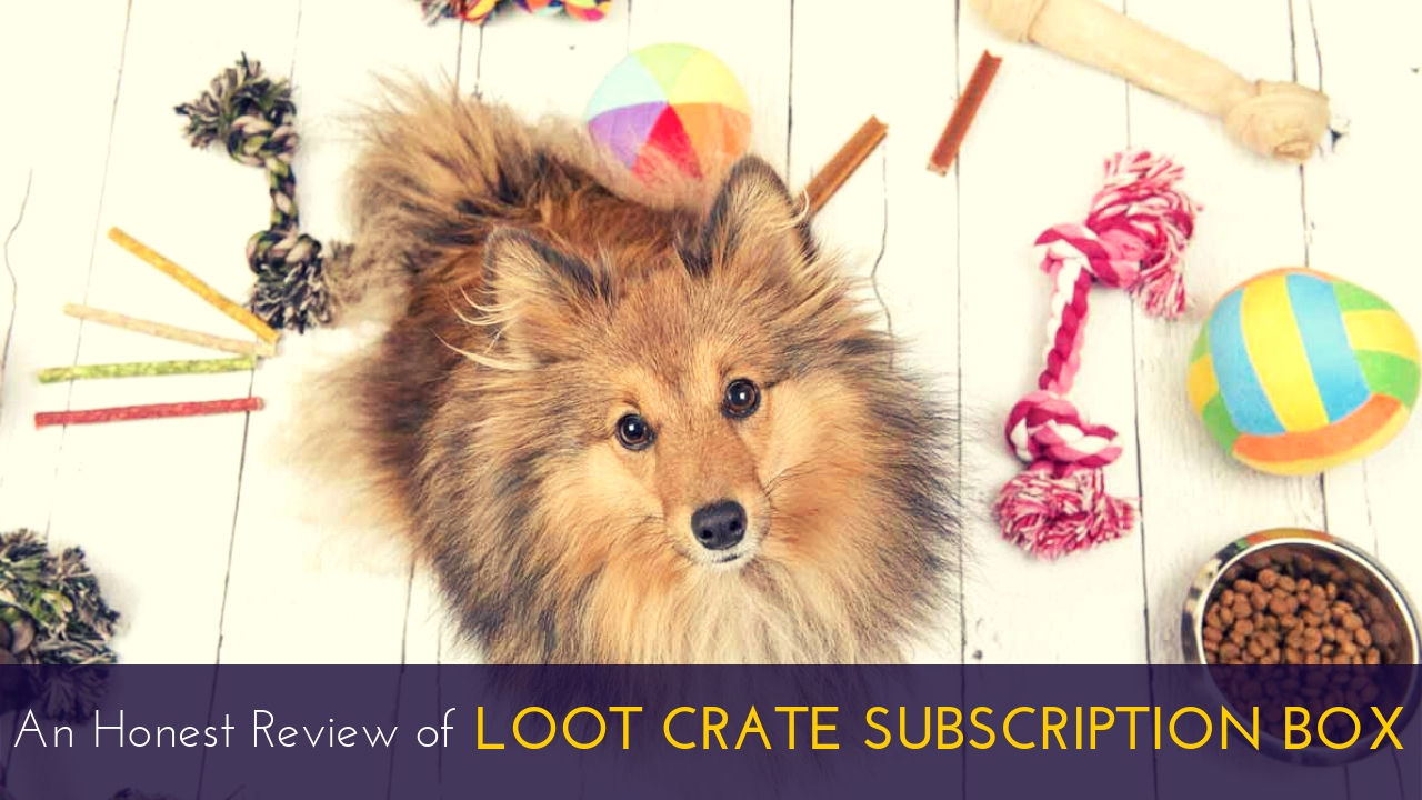 Loot Crate Subscription Box Review Loot Crate Subscription Box Review