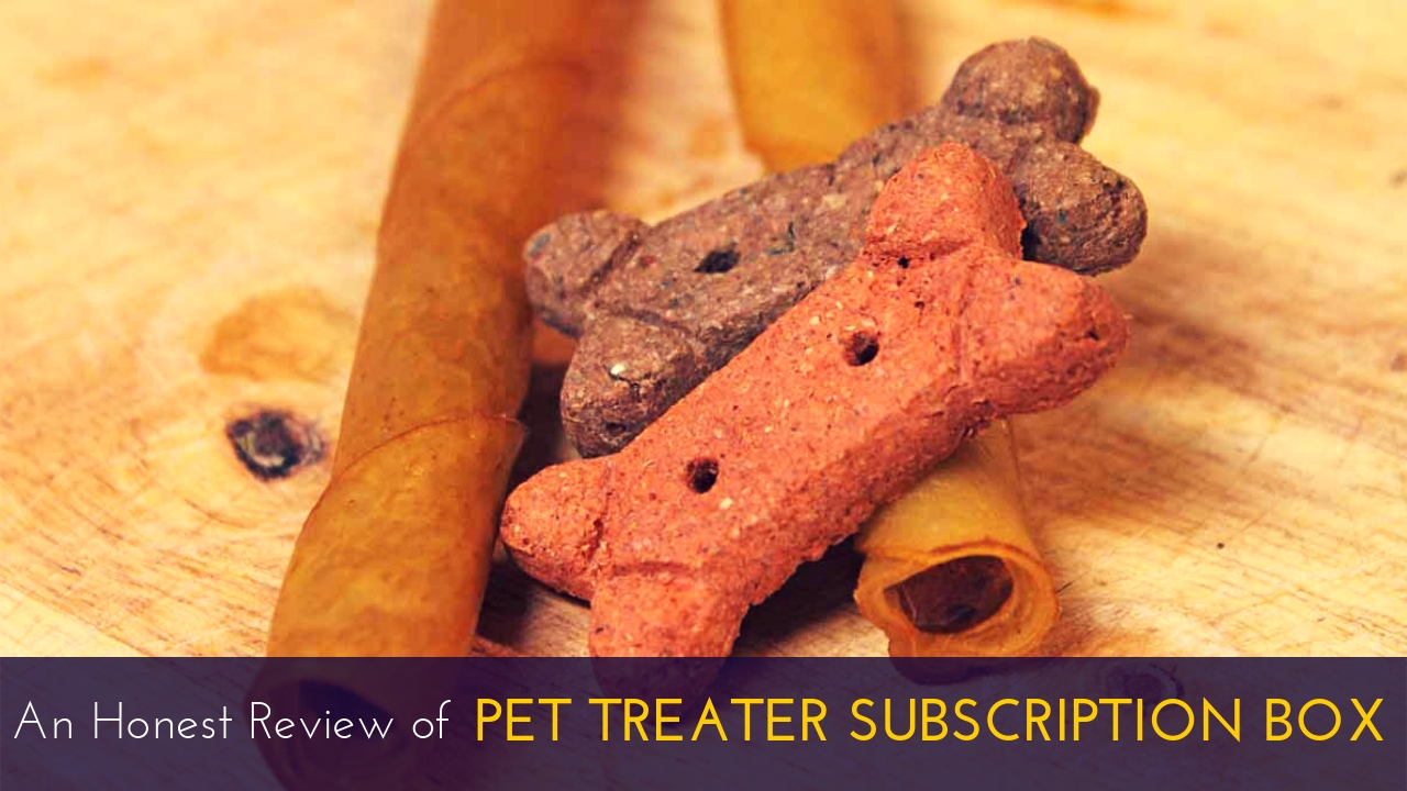 Pet Treater Subscription Box Review Pet Treater Subscription Box Review