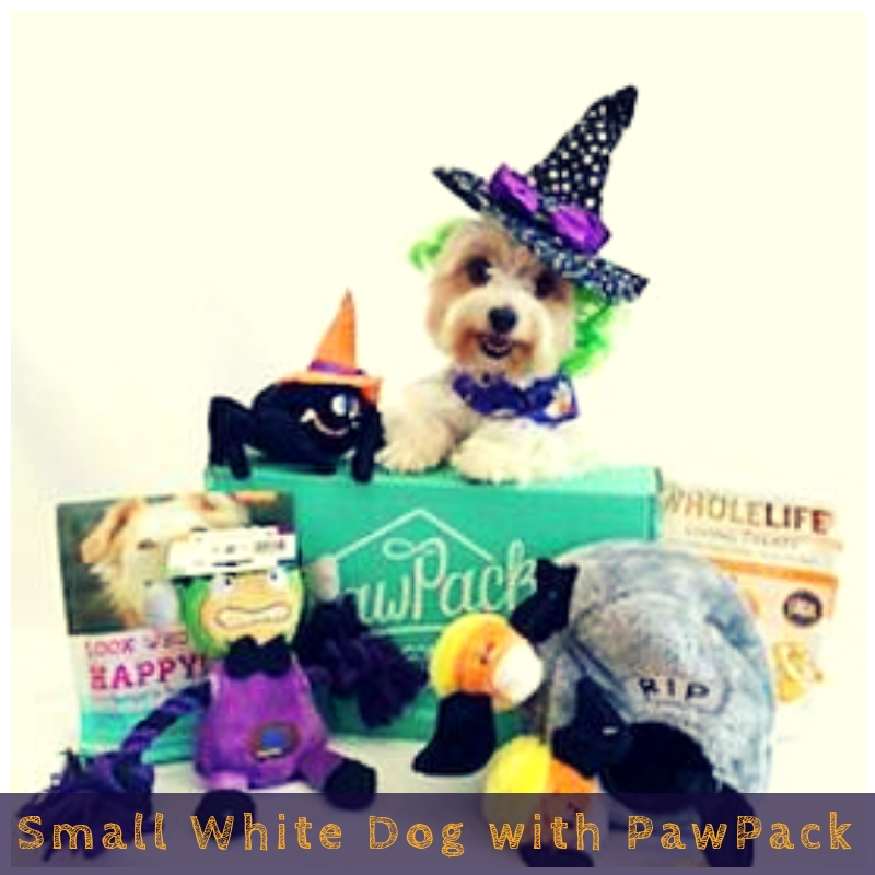 Small White Dog with PawPack Small White Dog with PawPack
