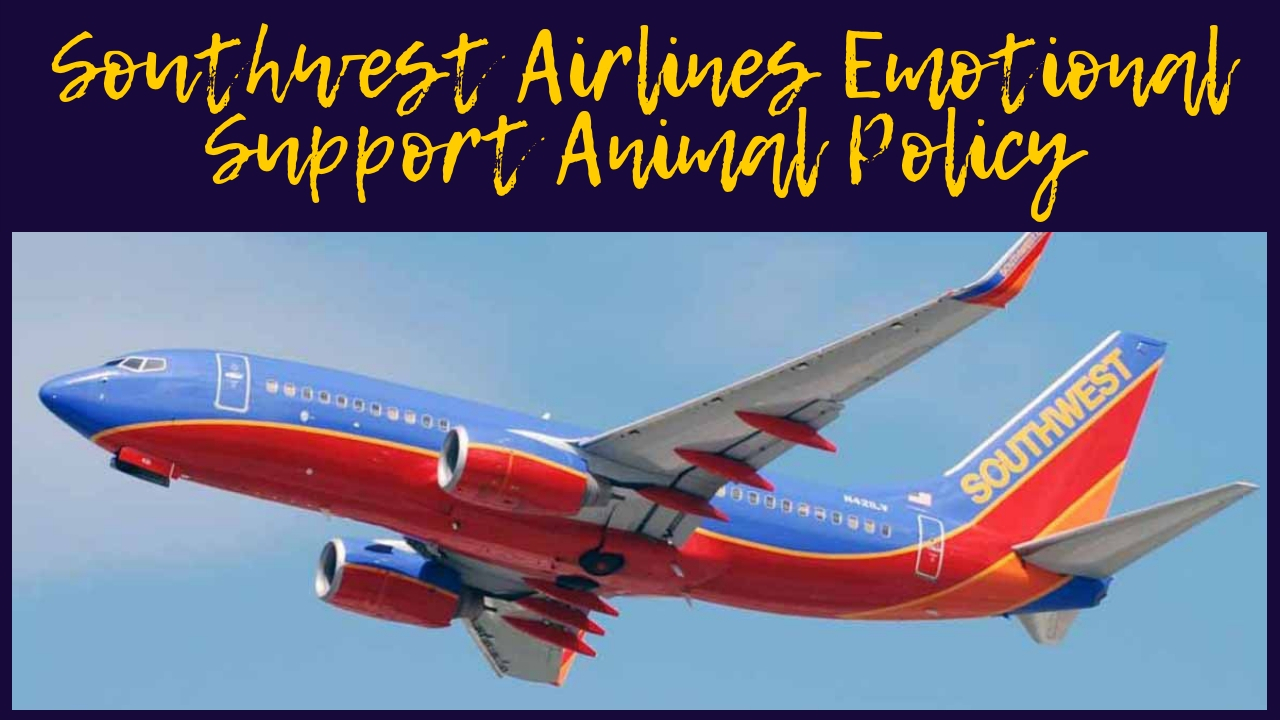 Southwest Airlines Emotional Support Animal Policy Southwest Airlines Emotional Support Animal Policy