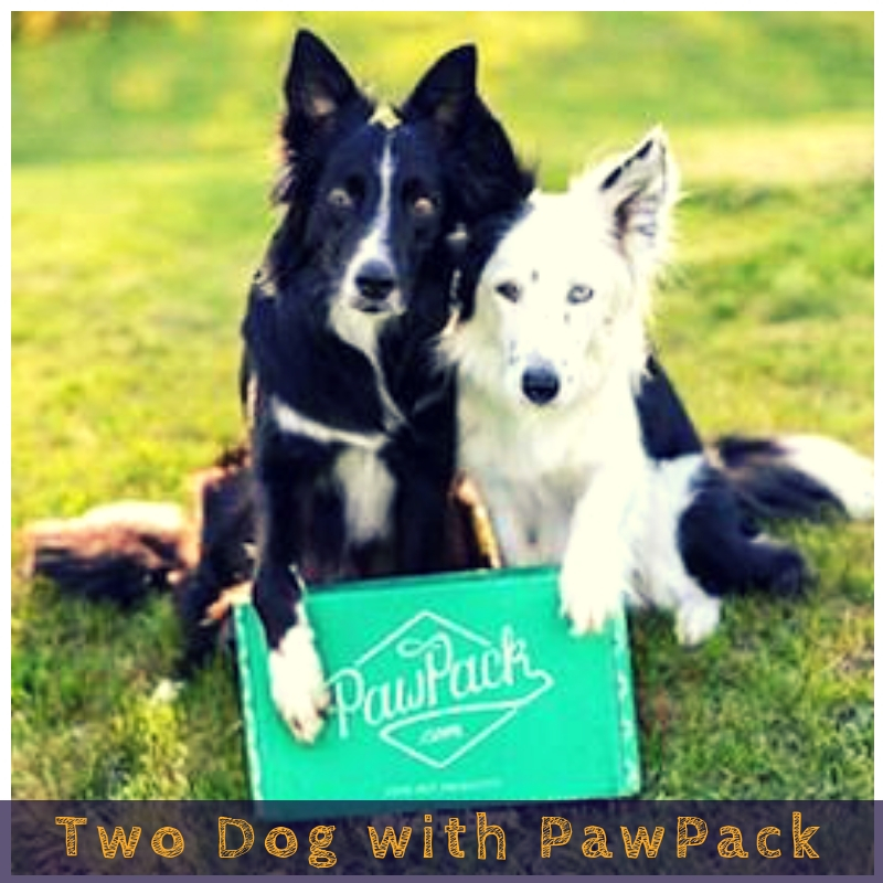 Two Dog with PawPack Two Dog with PawPack