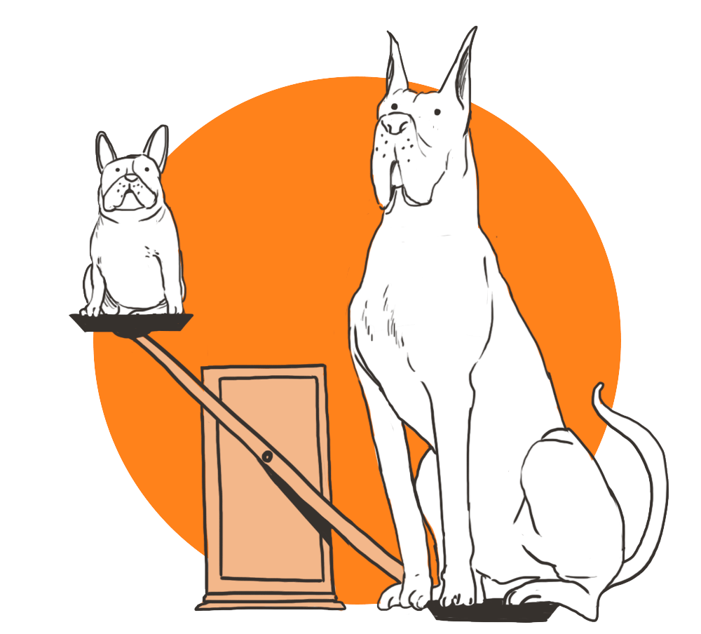bullymake-box-step2