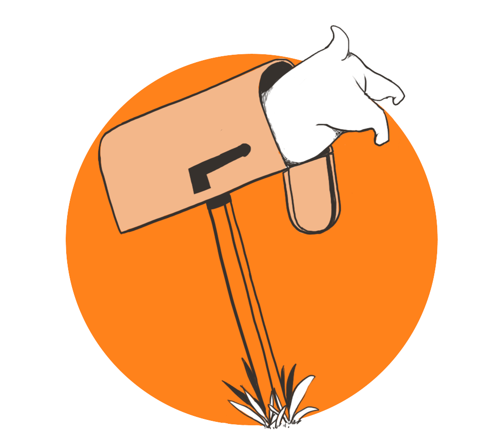 bullymake-box-step3