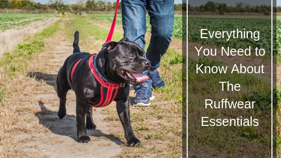 Ruffwear Essentials Ruffwear Essentials