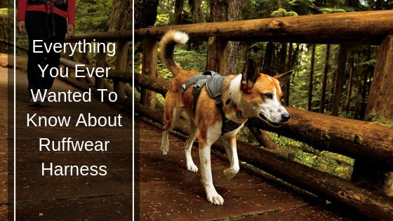 Ruffwear Harness