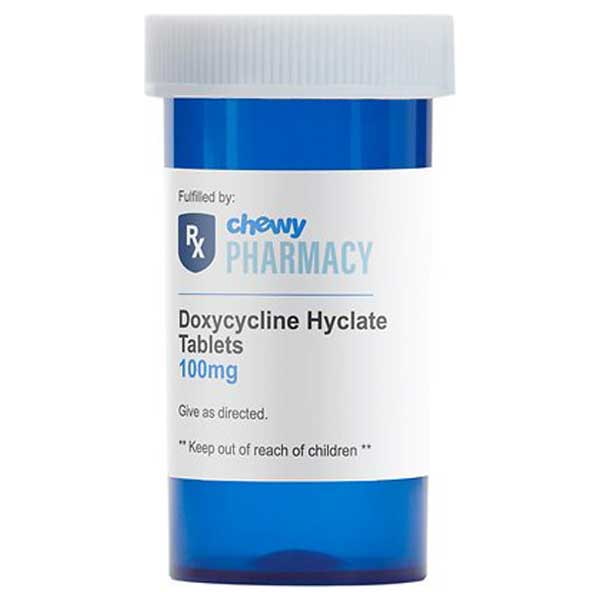 Doxycycline for Dogs Therapy Pet