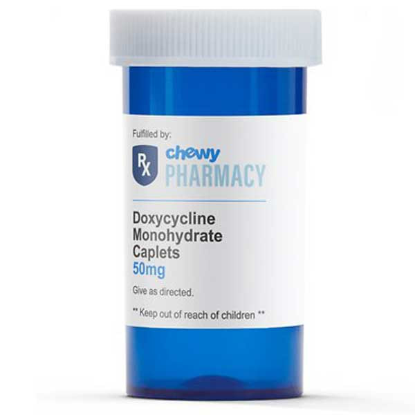 Doxycycline for Dogs Therapy Pet
